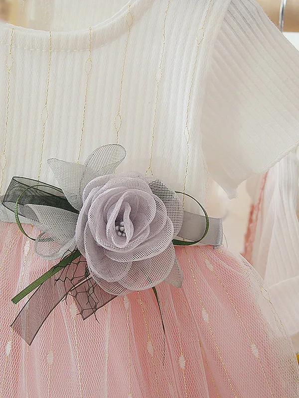 Baby Blooming Flower Tulle Overlay Dress