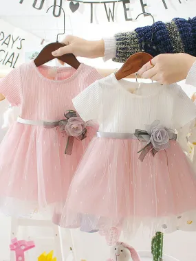 Baby Blooming Flower Tulle Overlay Dress