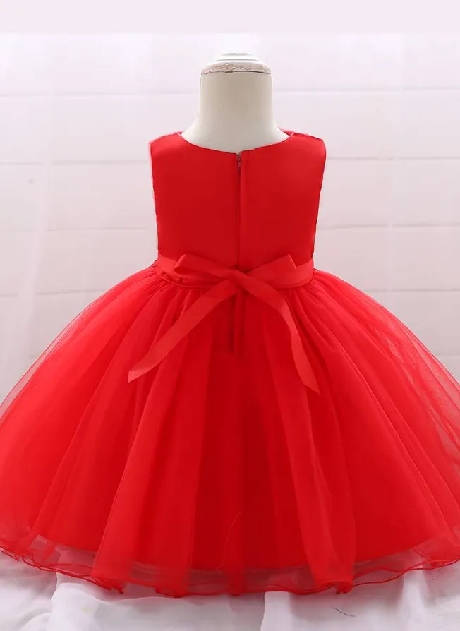 Baby Delicate Flower Special Occasion Tulle Dress