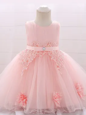 Baby Delicate Flower Special Occasion Tulle Dress