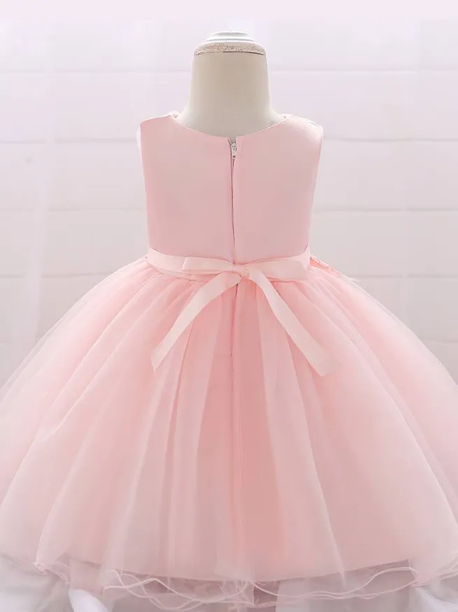 Baby Delicate Flower Special Occasion Tulle Dress