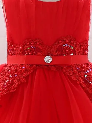 Baby Delicate Flower Special Occasion Tulle Dress