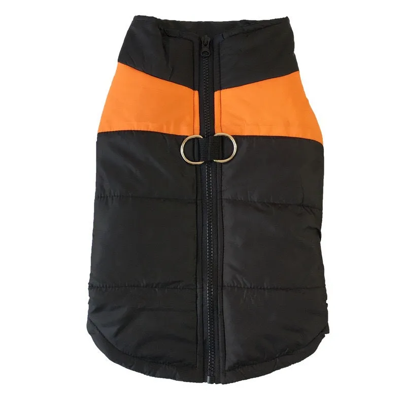 Dog Autumn And Winter Vest Teddy Golden Retriever Two-legged
