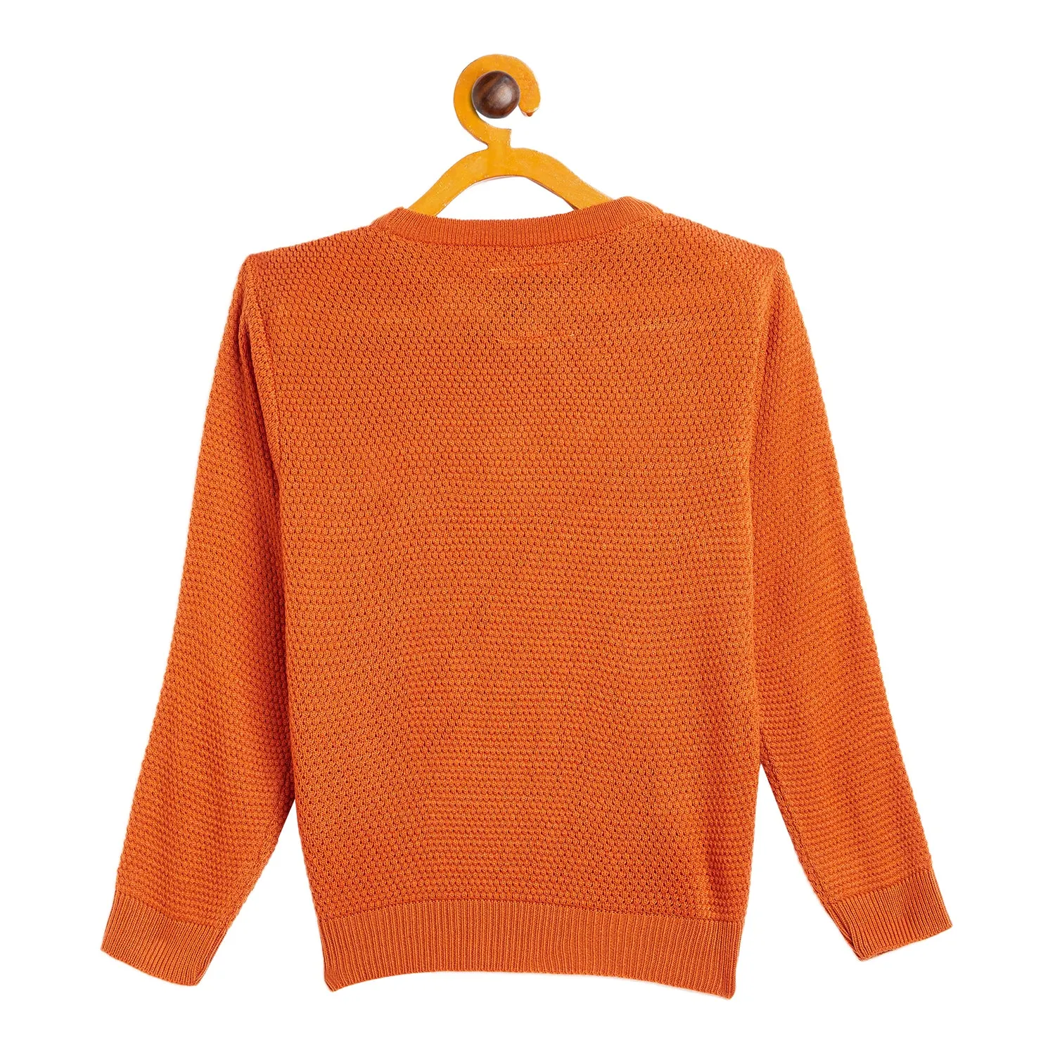 Duke Stardust Boys Round Neck Sweater (SDS3561)