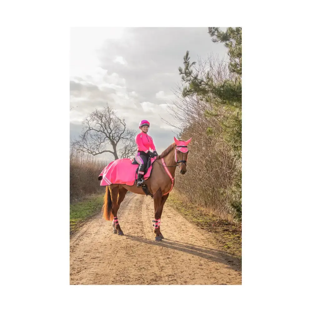 Reflector Base Layer by Hy Equestrian