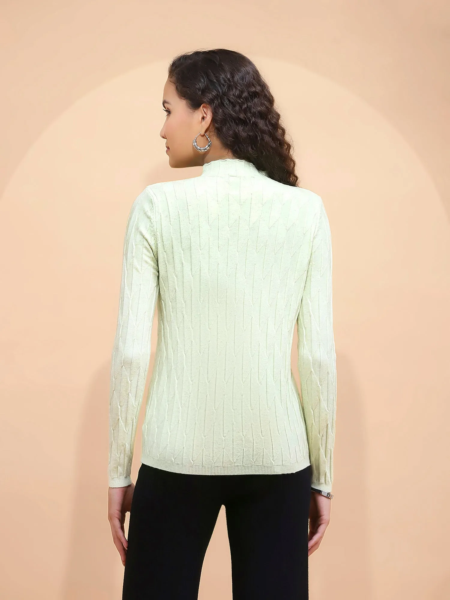 Sage Green Solid Poly Viscose Slim Fit High Neck Skivvy Pullover