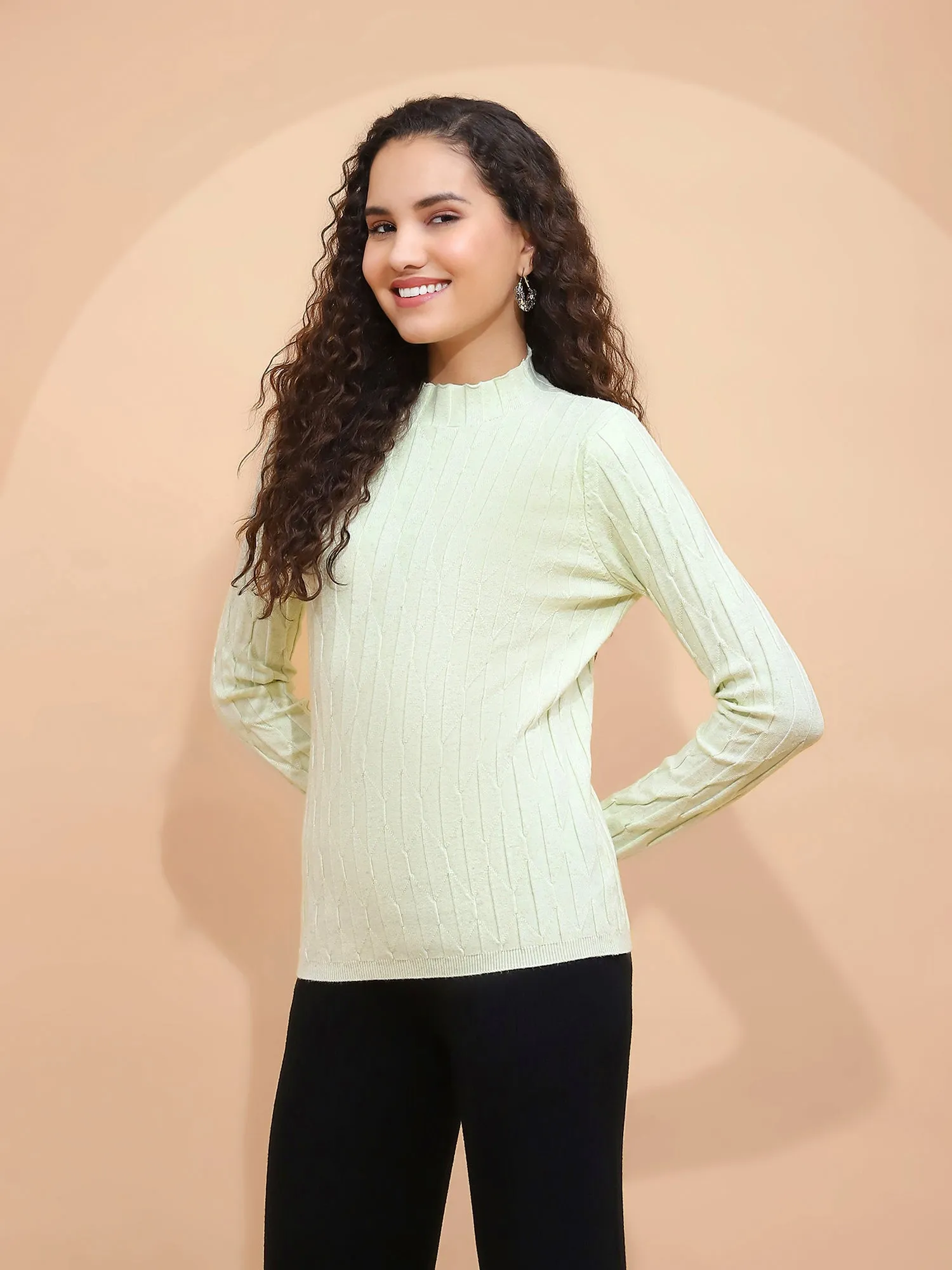 Sage Green Solid Poly Viscose Slim Fit High Neck Skivvy Pullover