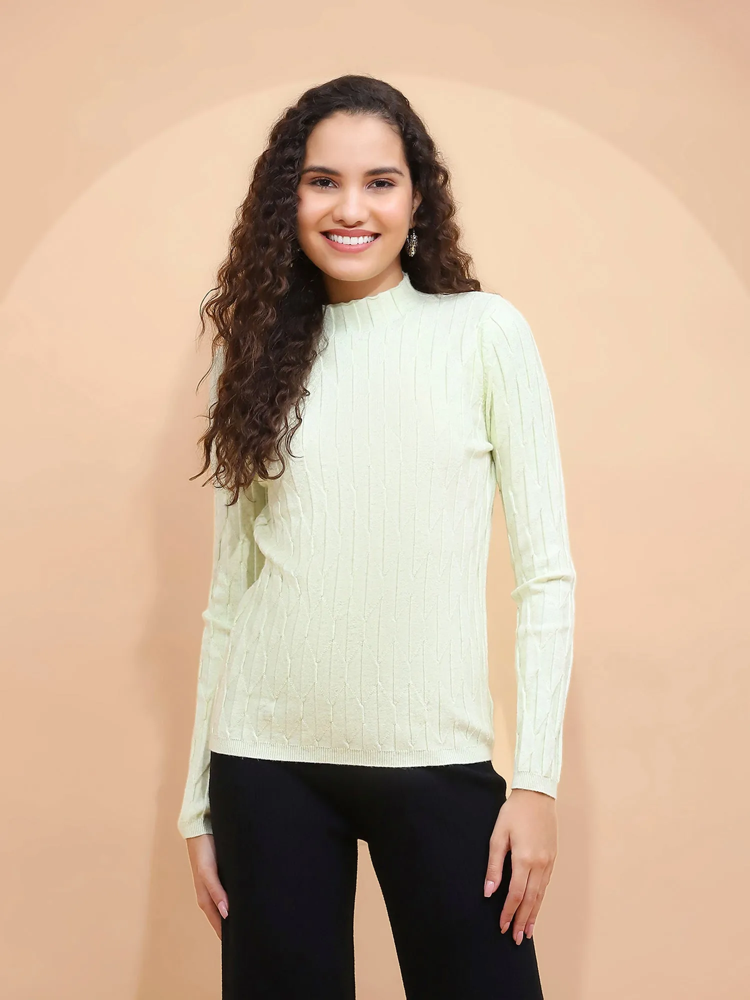 Sage Green Solid Poly Viscose Slim Fit High Neck Skivvy Pullover