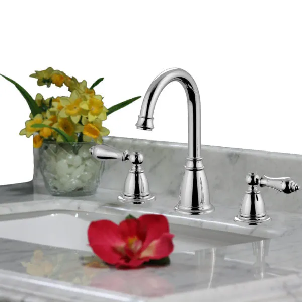 WS225 Legion Furniture Widespread Bathroom Faucet with Drain Assembly